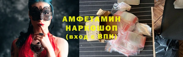 apvp Инта