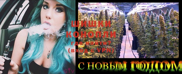 apvp Инта