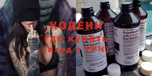 apvp Инта