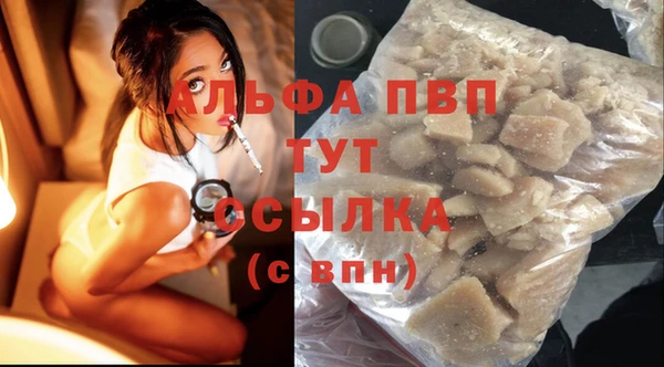 apvp Инта