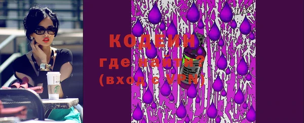 apvp Инта