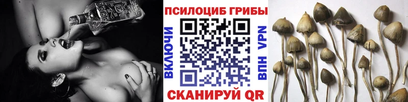 Купить закладки  Белоярский  Псилоцибиновые грибы мухоморы 
